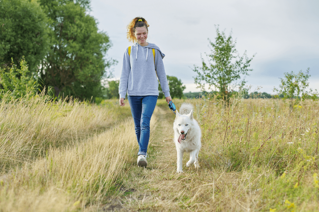 Woman walking with a white huski dog on grasslands